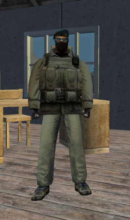 Player Model