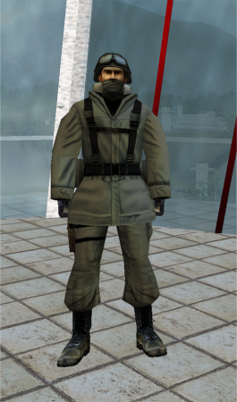 Player Model