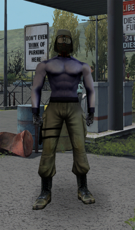Player Model