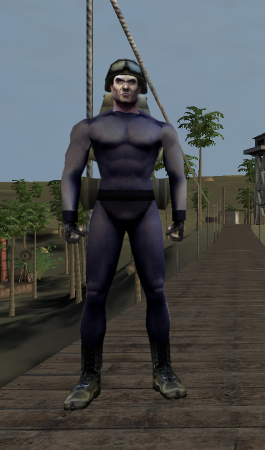 Player Model